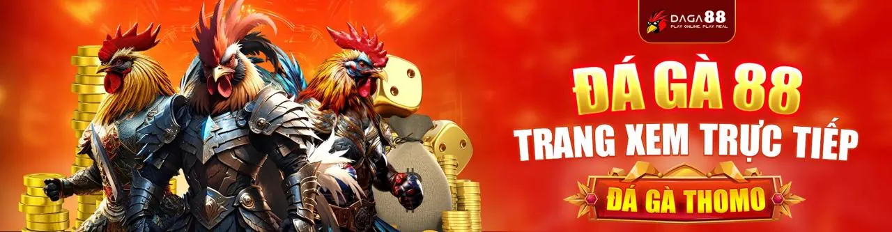 Hình ảnh minh họa chính sách cookie và bảo mật dữ liệu của sun52 casino